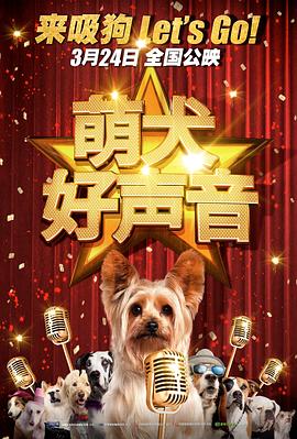 青青操操