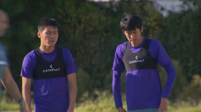 日本波多野结衣电影