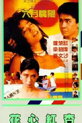 欧美片能看的一级毛片