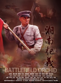 91视频区