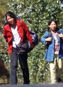 娇妻雯雯ktv系列小说