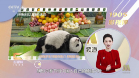 日精品一区二区